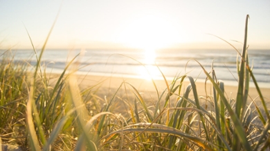 Sea and beach with dune grass in the foreground